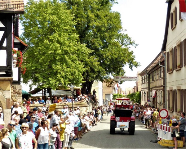 Traktortreffen 2019: Korso zur Heuchelheimer Kerwe ©Altertrümmer Klingbachtal e.V., Rainer Tempel